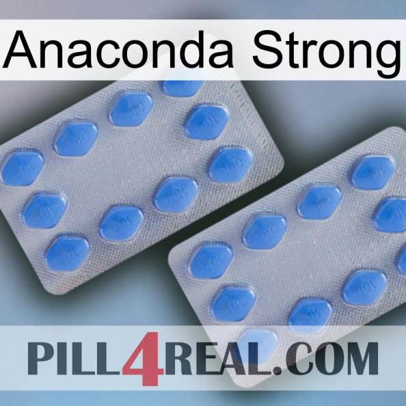 Anaconda Strong 20.jpg